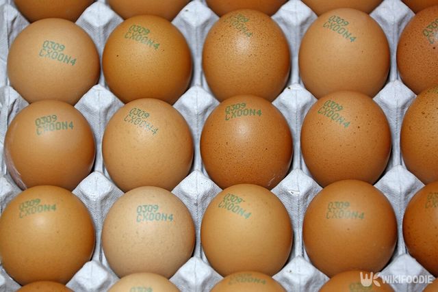 난각 번호 자료사진. / Stock for you-shutterstock.com