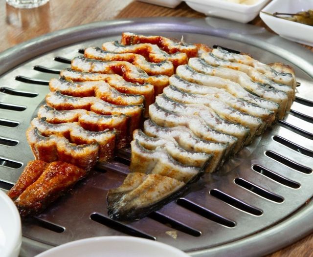 장어 자료사진. / 장어독립