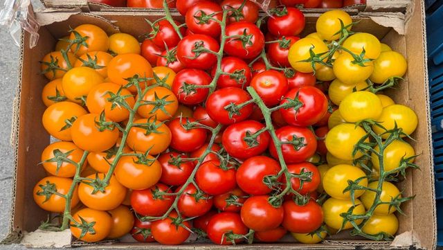 기사 이해를 돕기 위한 자료 사진 / M.Hart- shutterstock