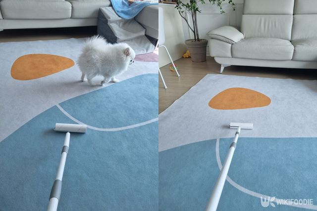 직접 구입한 돌돌이 사선컷팅 클리너 자료사진. / 위키푸디