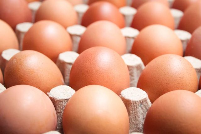 기사 이해를 돕기 위한 자료 사진 / Insan1919- shutterstock