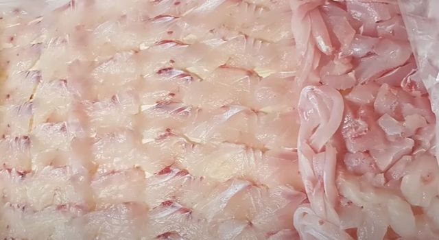 민어 회 자료 사진. / 유튜브 '입질의추억TV jiminTV'