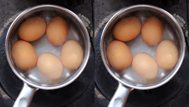 기사 이해를 돕기 위한 자료 사진 / Karla Ferro- shutterstock