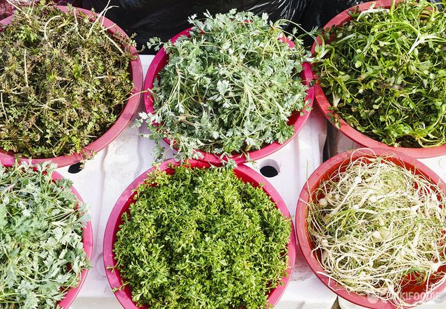 한국 시장에서 판매 중인 나물의 모습. / Stock for you-shutterstock.com