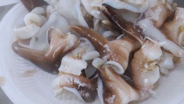 새조개 자료사진. / 유튜브 'EBS 다큐'