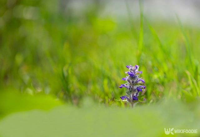 기사의 이해를 돕기 위한 이미지. / green scent-shutterstock.com