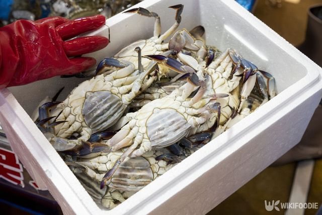 꽃게 자료사진. / Light Win-shutterstock.com