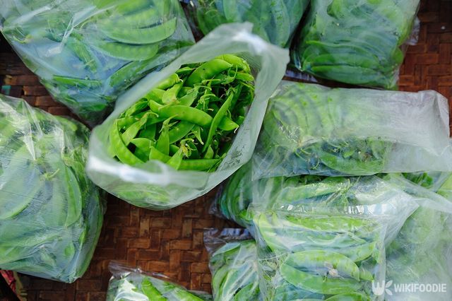 콩 자료사진. / redcarphotography-shutterstock.com