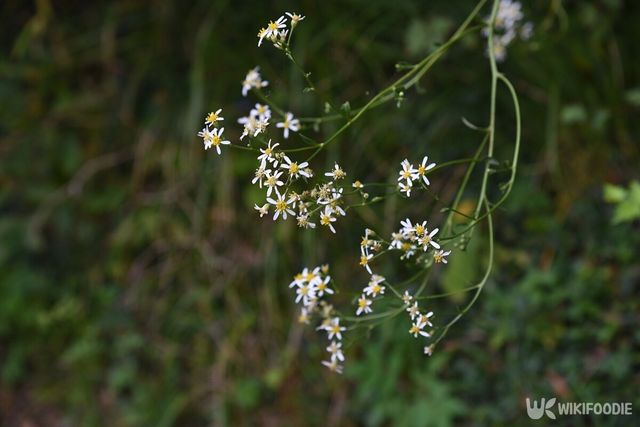 기사의 이해를 돕기 위한 이미지. / tamu1500-shutterstock.com