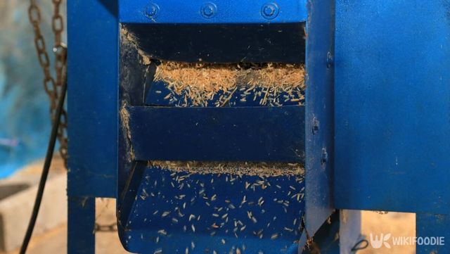 현미를 가공하는 모습. / Siyanight-shutterstock