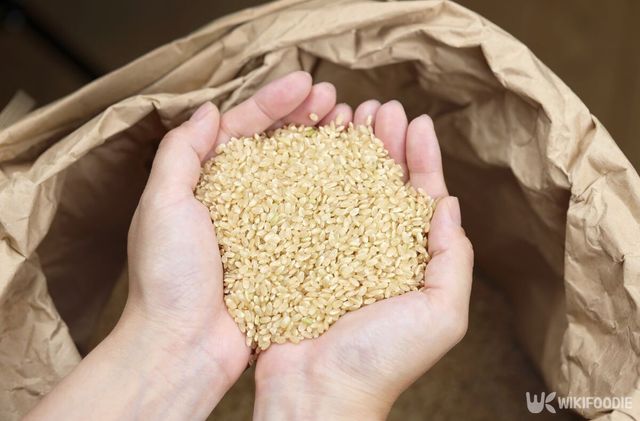 현미 자료 사진. / Kelly Marken-shutterstock