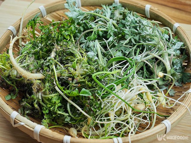 쑥과 냉이 이해를 돕기 위한 참고 사진. / sungsu han-shutterstock.com