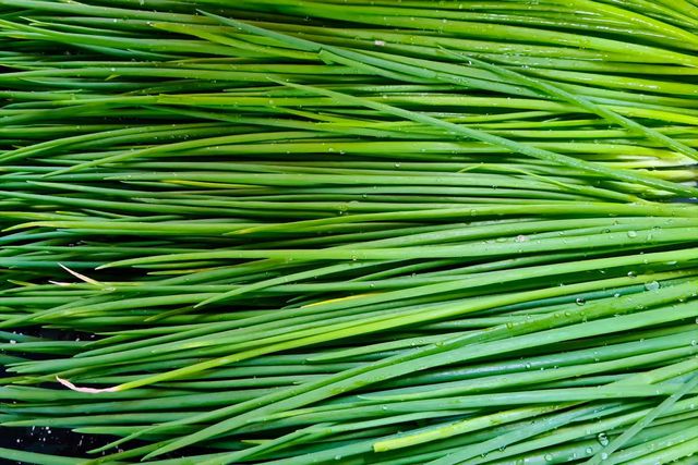 기사 이해를 돕기 위한 자료 사진 / rocharibeiro- shutterstock