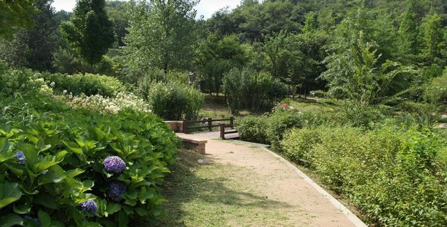 무릉도원수목원 산책로. / 부천시 블로그