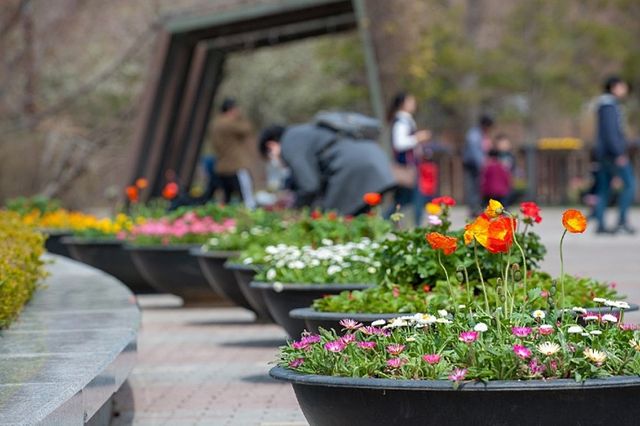 무릉도원수목원 풍경. / 부천시 블로그