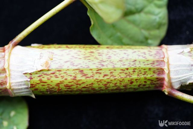 기사의 이해를 돕기 위한 이미지. / juerginho-shutterstock.com