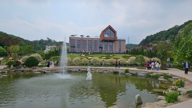 용인자작나무숲. / 용인시 블로그