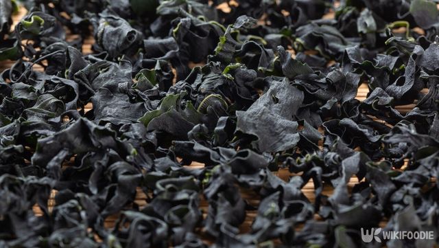 건미역 자료사진. / ASGOLD-shutterstock.com