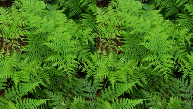 기사 이해를 돕기 위한 자료 사진 / Hank Asia- shutterstock