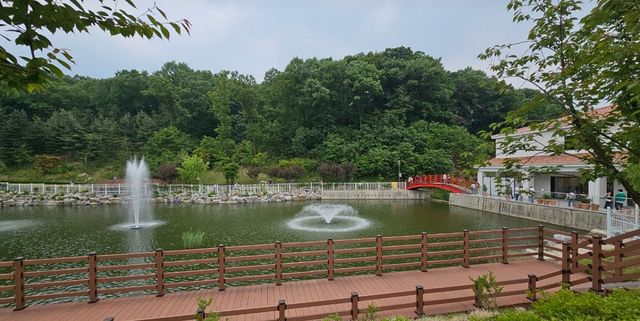 용인자작나무숲. / 용인시 블로그