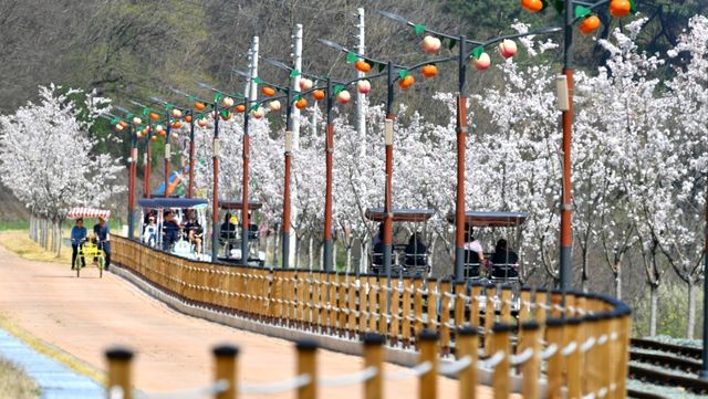 청도 레일바이크. / 청도군 블로그
