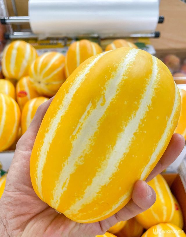 참외를 들고 있는 모습. / jgdanwoo-shutterstock.com