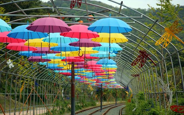 청도군 레일바이크 코스. / 청도군 블로그