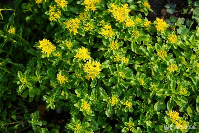 기사의 이해를 돕기 위한 이미지. / crystaldream-shutterstock.com