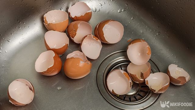 싱크대에 버려진 달걀 껍질 자료사진. / Volodymyr Nik-shutterstock.com