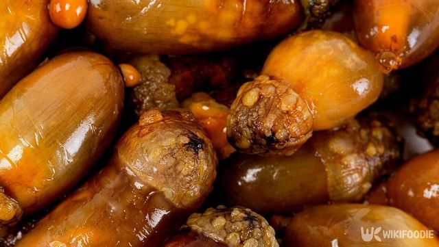 미더덕 자료사진. / bibistudio-shutterstock.com