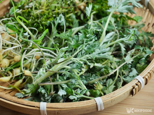 봄나물 자료사진. / sungsu han-shutterstock.com