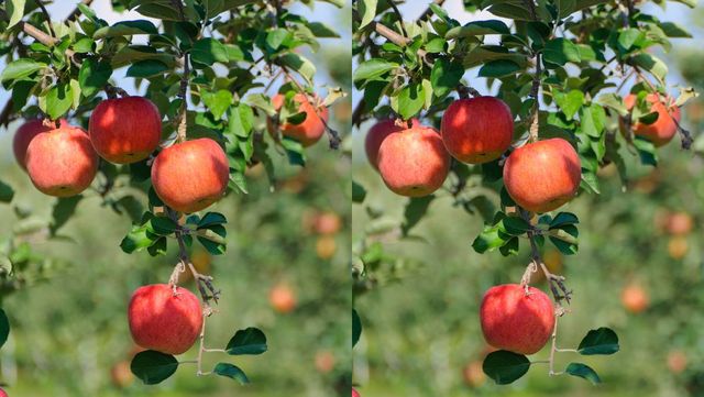 기사 이해를 돕기 위한 자료 사진 / smoke_m- shutterstock