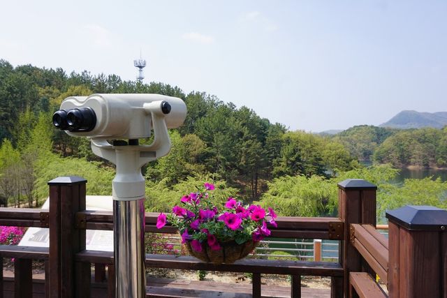 청남대 하늘정원. / 청주시 공식 블로그