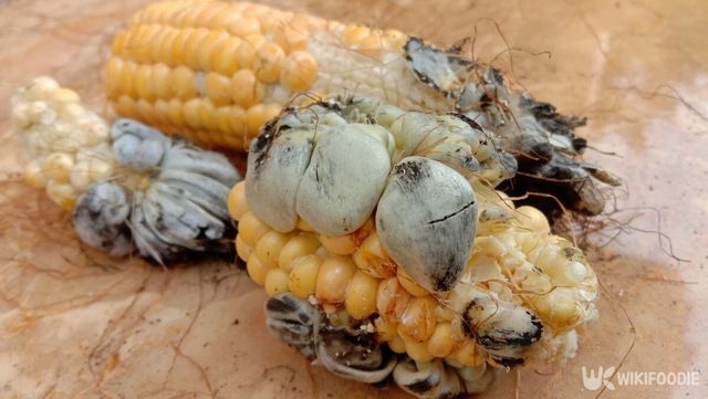 위틀라코체 자료 사진. / Rifki Prio Utomo-shutterstock