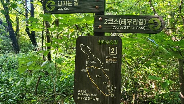 삼다수숲길. / 제주특별자치도 공식 블로그