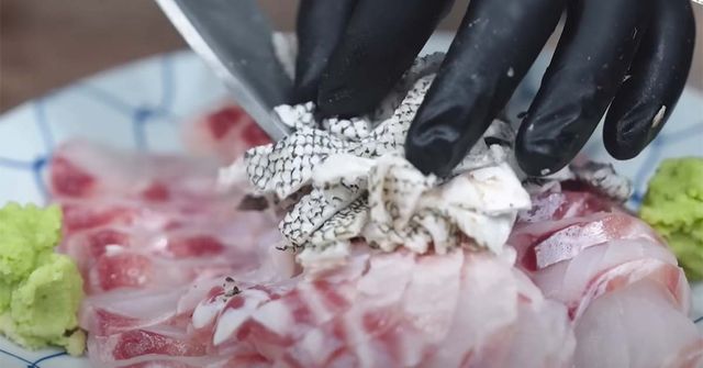 점줄우럭회 / 유튜브 채널 ‘입질의추억TV’ 영상 캡처