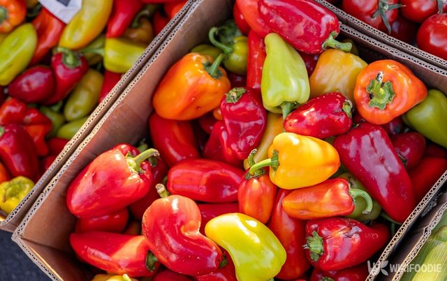 기사의 이해를 돕기 위한 이미지. / 360VP-shutterstock.com