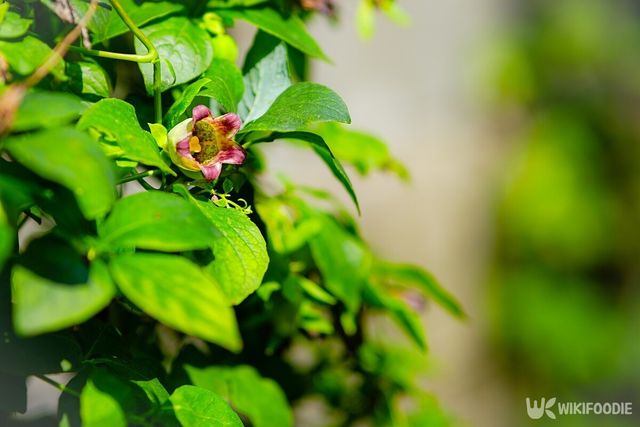 기사의 이해를 돕기 위한 이미지. / kkhoi723-shutterstock.com