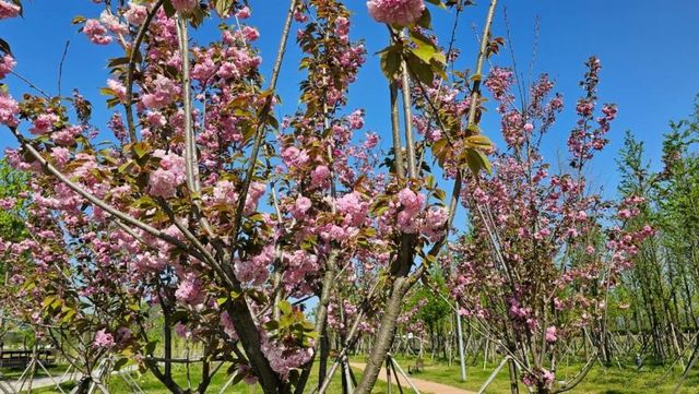 세종호수공원. / 세종특별자치시 공식 블로그