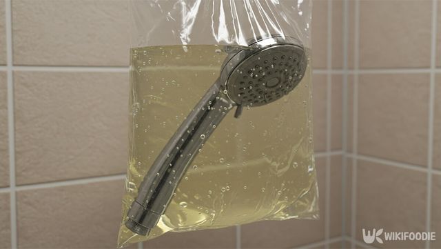 샤워기 헤드 청소하는 모습. / 위키푸디