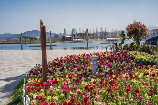 세종호수공원. / 세종특별자치시 공식 블로그