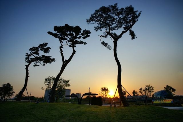 세종호수공원. / 세종특별자치시 공식 블로그