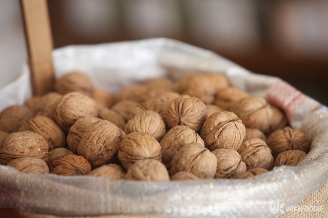 호두 자료사진. / atikinka-shutterstock.com