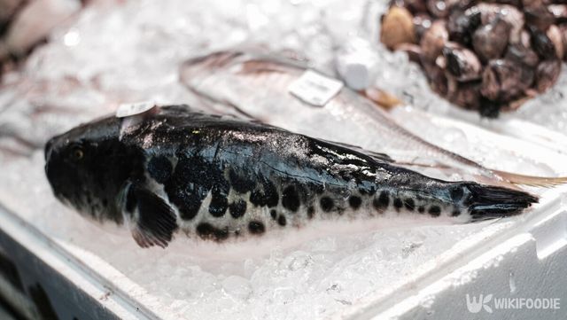 마트에 진열된 복어 자료사진. / HarryKiiM Stock-shutterstock.com