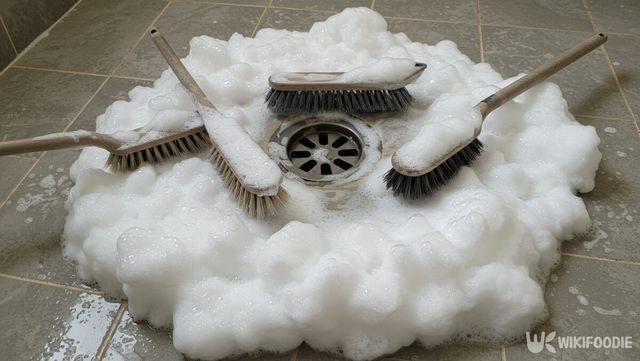 기사 이해를 돕기 위한 자료 사진 / 위키푸디