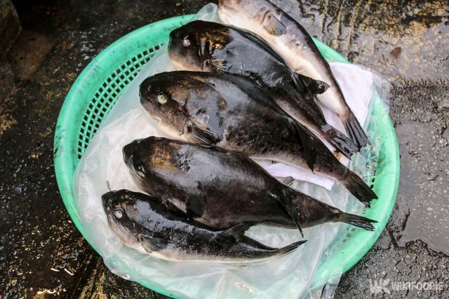 복어 자료사진. / MAVRITSINA IRINA-shutterstock.com