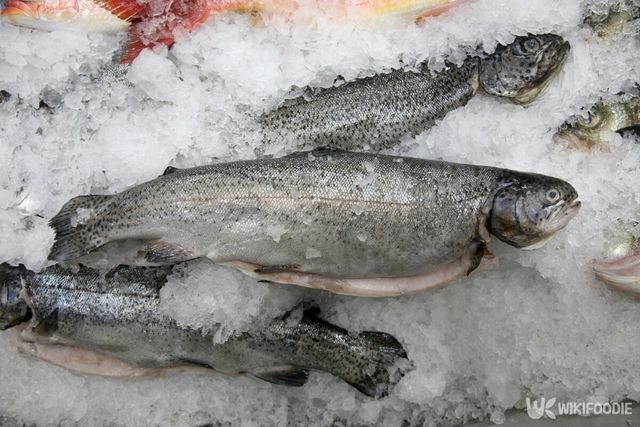 송어 참고 사진. / mikeledray-shutterstock.com