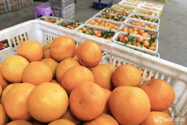 수북하게 쌓여 있는 오렌지의 모습. / liyuhan-shutterstock.com