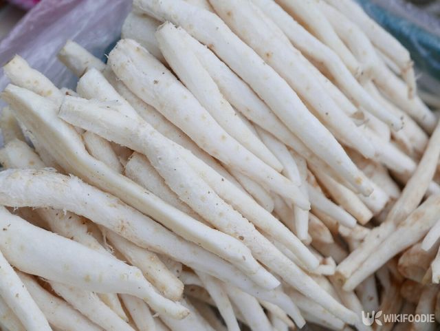 도라지 자료사진. / Jung U-shutterstock.com