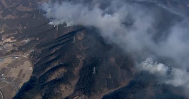 영덕 송이 산지는 물론 의성 마늘밭과 영양의 고추 비닐하우스까지 농산물 피해가 상당하다. / 유튜브 'YTN'